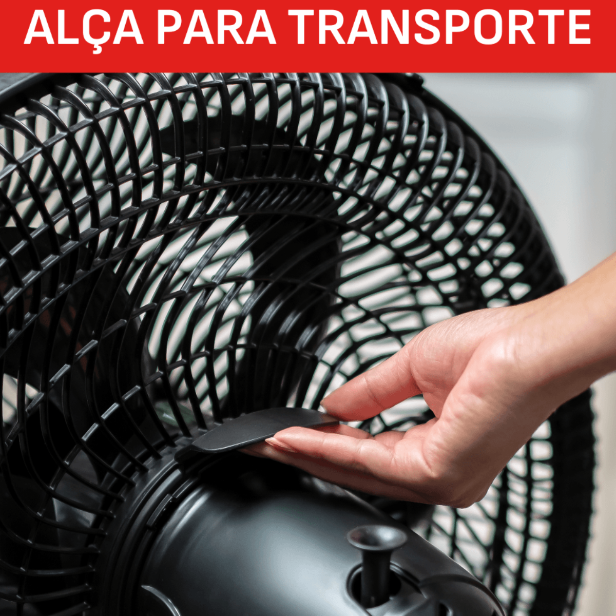 Texto alternativo da imagem