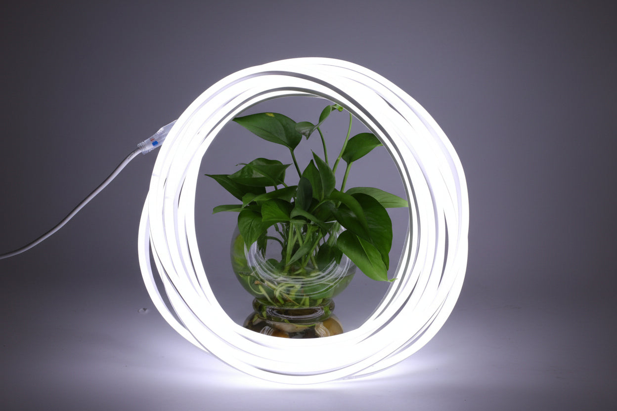 Mangueira 300 leds neon bivolt branco 5m dea 47553004