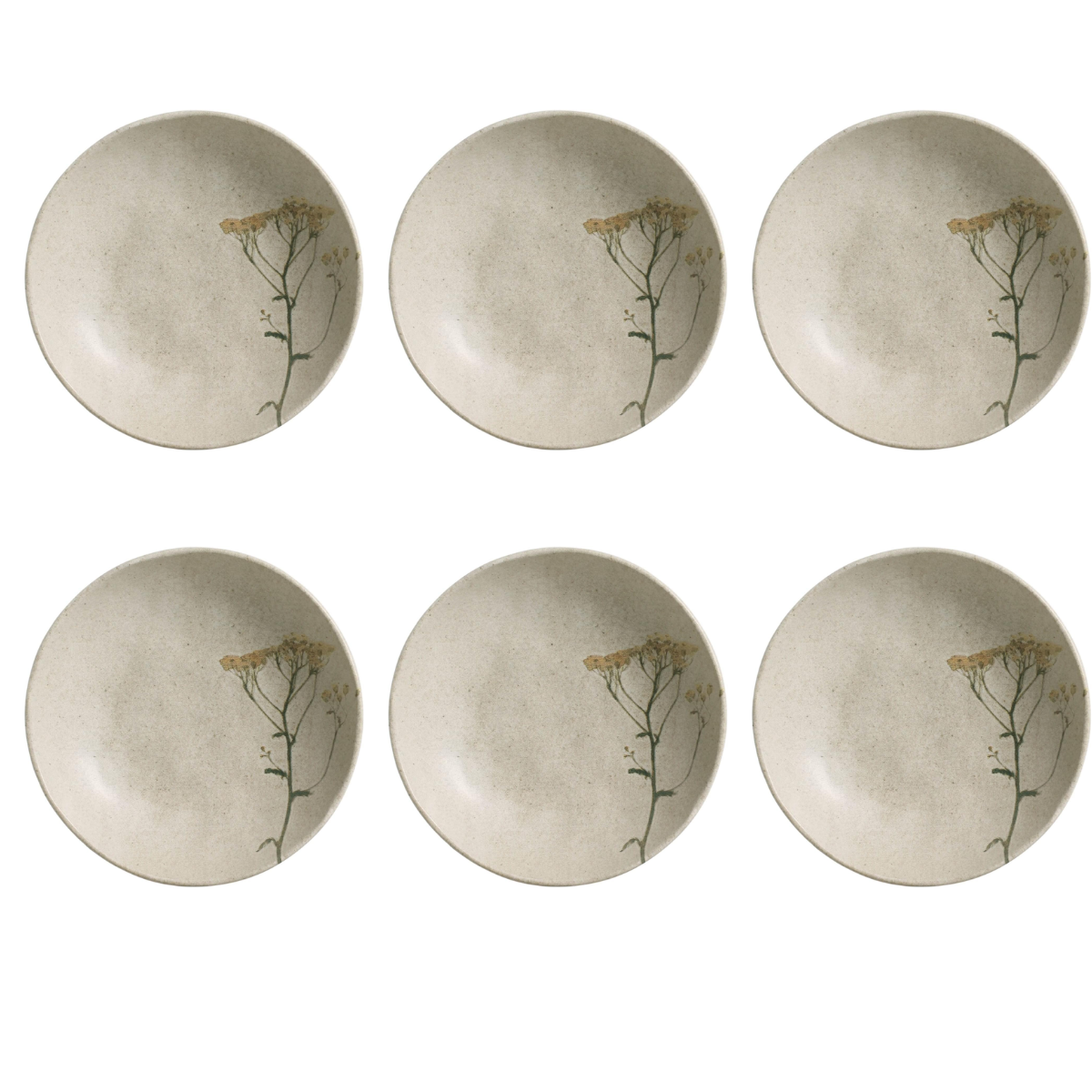 Conjunto de 6 Pratos  Fundo Bio Campestre -Porto Brasil