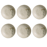Conjunto de 6 Pratos  Fundo Bio Campestre -Porto Brasil