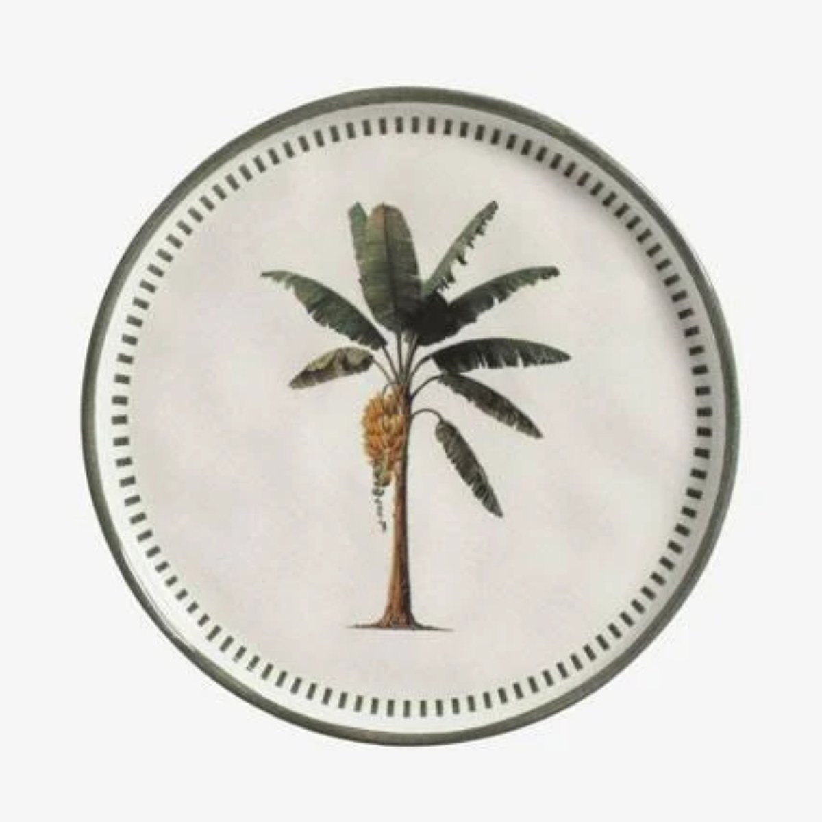 Conjunto De 6 Pratos Sobremesa Bio Banane - Porto Brasil