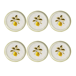 Conjunto 6 Pratos Raso Bio Lemon - Porto Brasil