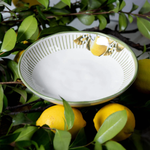 Conjunto de 6 Pratos Fundo Bio Lemon - Porto Brasil