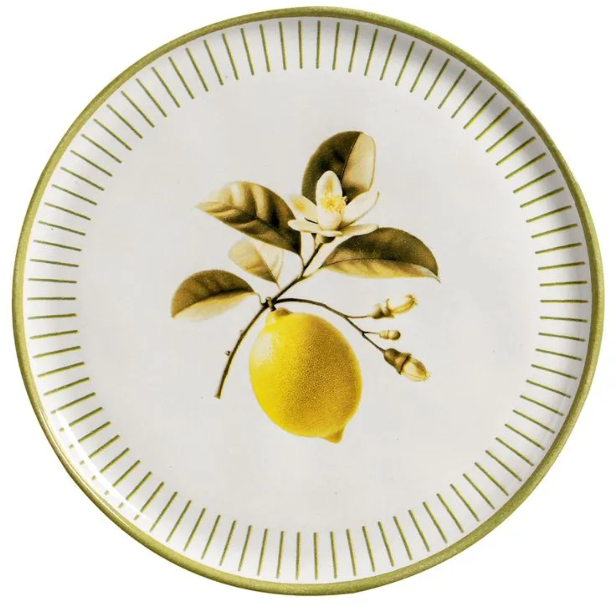 Prato Raso Bio Lemon -Porto Brasil