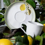 Jogo de 6 Xícaras  De Chá Bio Lemon  -Porto Brasil
