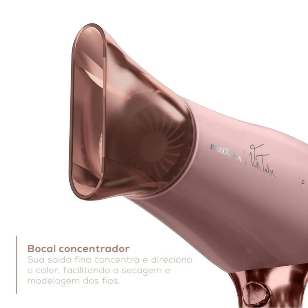 Texto alternativo da imagem