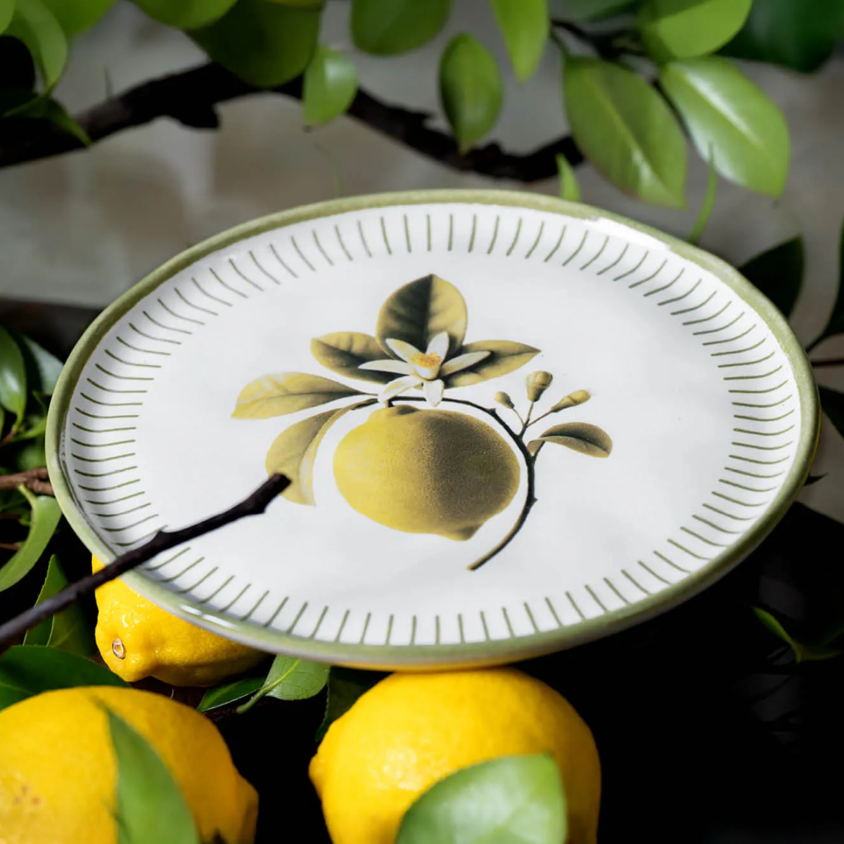 Conjunto de 6 Pratos Sobremesa Bio Lemon -Porto Brasil