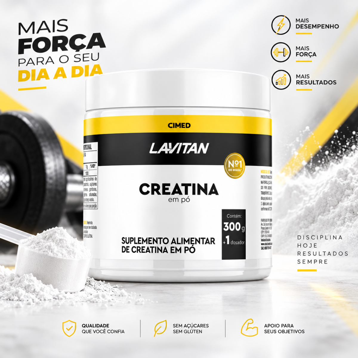 Creatina em Pó Lavitan 300g 105127