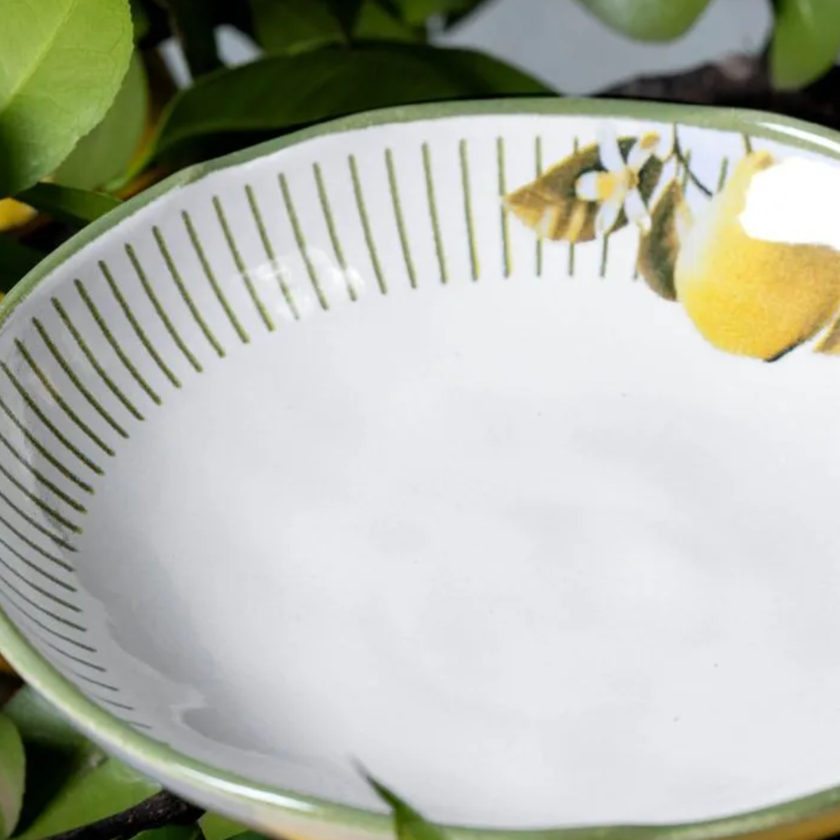 Conjunto de 6 Pratos Fundo Bio Lemon - Porto Brasil
