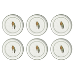 Conjunto 6 Pratos  Rasos Bio Banane - Porto Brasil