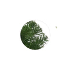 Arvore De Natal Viena Verde 2,10CM 1500 Galhos  52394-004